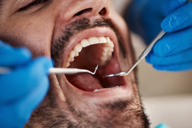  Ddleville, MI Emergency Dentist Pros